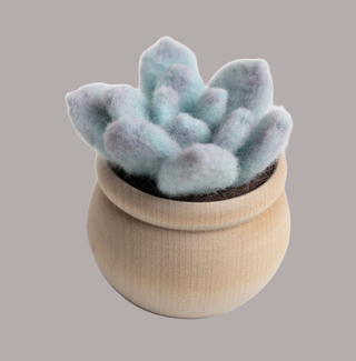 Ghost Plant Succulent Felting Kit (Level 1 Kit)