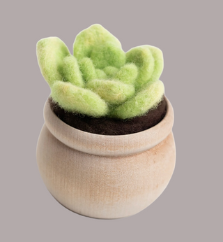 Lily Pad Succulent Felting Kit (Level 1 Kit)