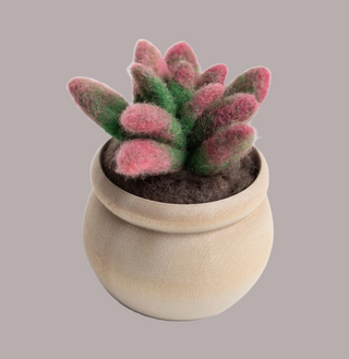 Sunrise Succulent Felting Kit (Level 1 Kit)