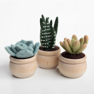 Succulent Trio Felting Kit with Foam Mat