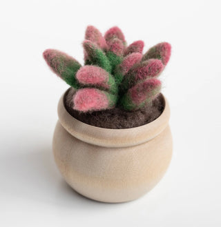 Sunrise Succulent Felting Kit (Level 1 Kit)