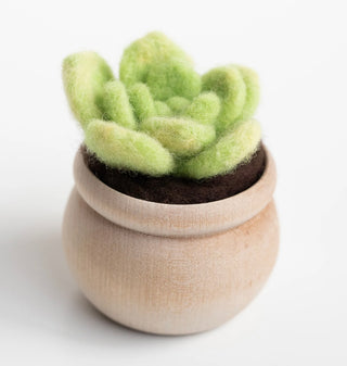 Lily Pad Succulent Felting Kit (Level 1 Kit)