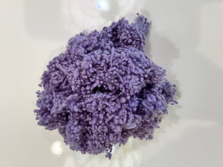 Wool Nepps Hyacinth