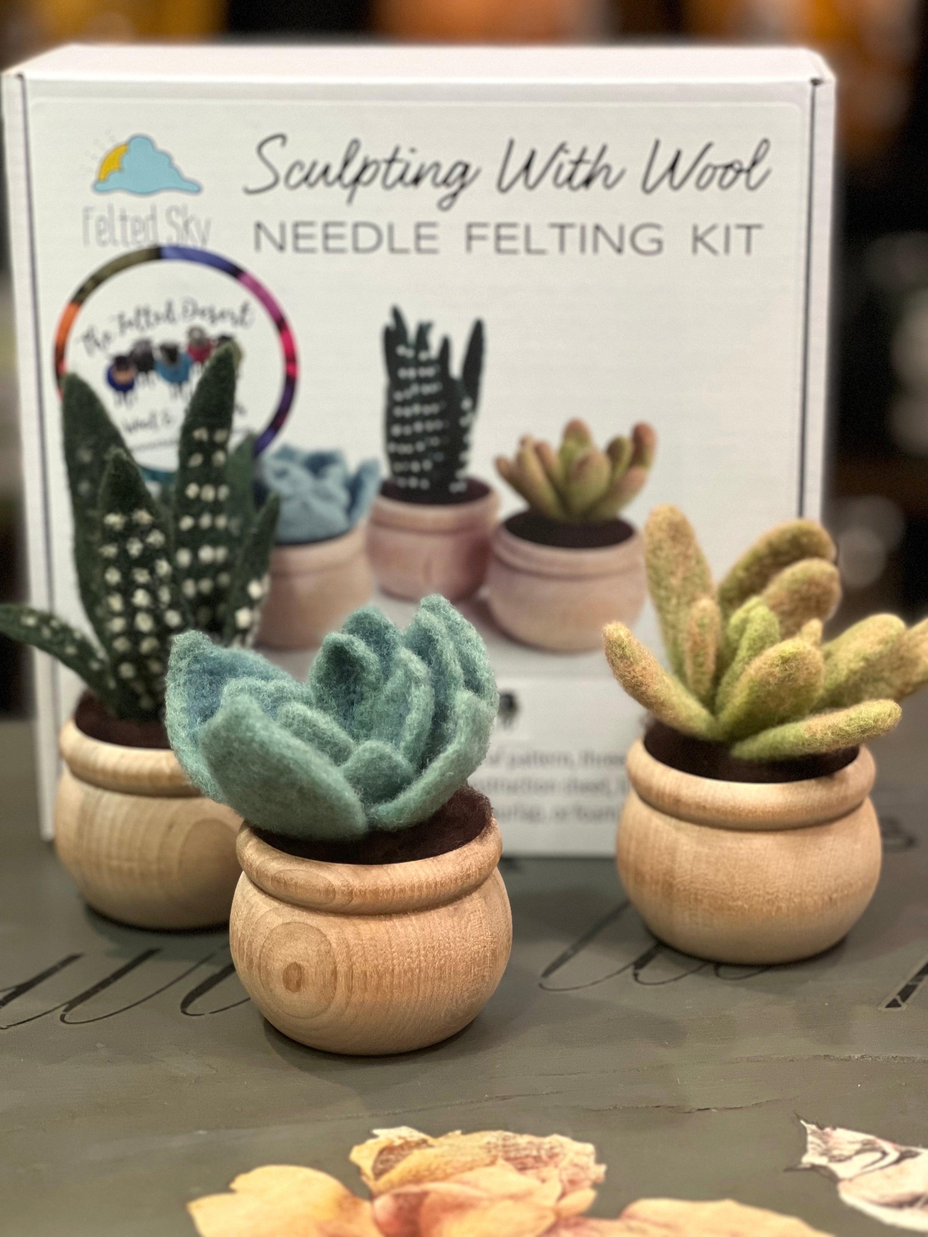 felt succulents kit Succulent Trio Felting Kit with Foam Mat – The Felted Desert