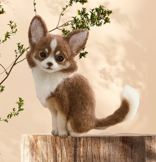 Hamanaka Needle Felting Kit- Realistic Chihuahua (English Instructions)