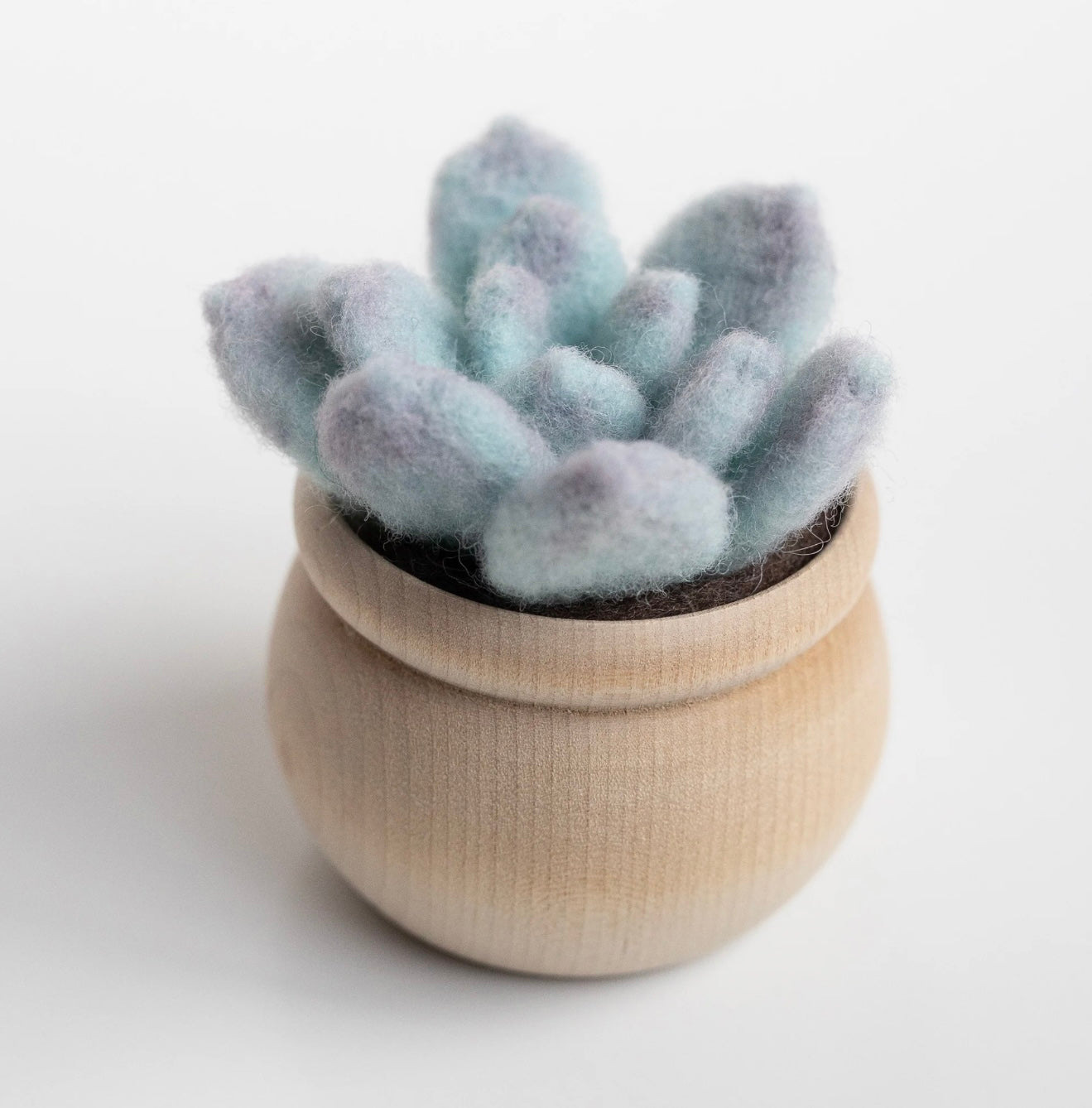 blue rabbit succulent Ghost Plant Succulent Felting Kit (Level 1 Kit) – The Felted Desert